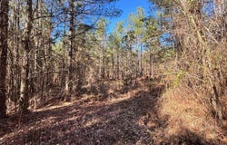 00 Wiggins Loop Rd, Carthage, MS 39051