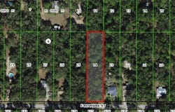 1191 E Bismark Street, Hernando, FL 34442