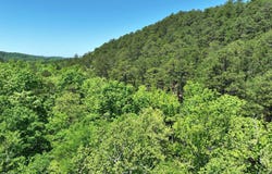 TBD (Lot 1) Heather Lane, Mena, AR 71953