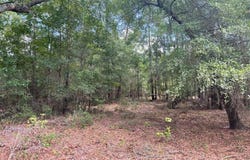 TBD Rivers Hill Road, Varnville, SC 29944