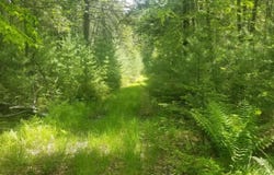 M13, L36, Harland Cunningham Road, Penobscot, ME 04476