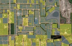 CEDAR TRAIL, INTERLACHEN, FL 32148