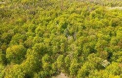 Lot 9 ACORN RIDGE ESTATES SUBDIVISION, Mosinee, WI 54455