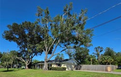 17001 MELBA Lane, LUTZ, FL 33549