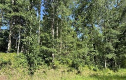 Lot 8 Terminal Road, Breezy Point, MN 56472