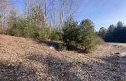 Lot 34 Scenic Hills Drive, Williamsburg, MI 49690