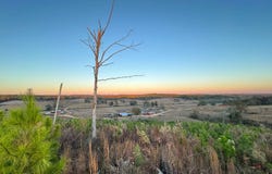 01 County Road 10, Winfield, AL 35594