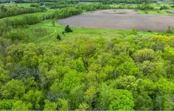 Linden Tree Rd, Grasston, MN 55030
