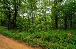 3700 Madison, Pettigrew, AR 72752