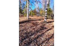N Coast Drive lot: 17-4, Mill Spring, NC 28756