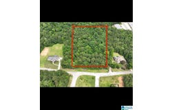 PINE FOREST LANE, WEST BLOCTON, AL 35184