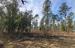 044 Hall, Thomasville, GA 31757
