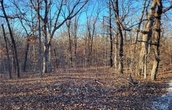 Wenzel Place, Edwards, MO 65326