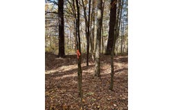 42nd Street, Allegan, MI 49010