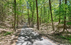 V/L W Thomas Road, Shelby, MI 49455