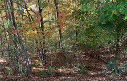 Lot22 Bryant Cove Road, Blairsville, GA 30512