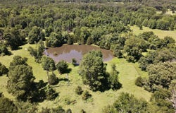 Lamar, AR 72846