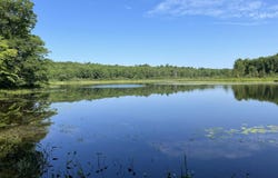 00LowerFal Lower Falls Road, Orland, ME 04472