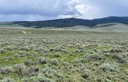 Tract 10 Steel Creek RD, Wisdom, MT 59761