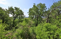 B26 Post Oak Road, Gordon, TX 76453