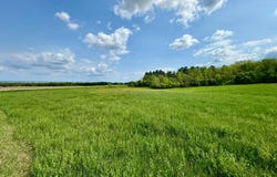 Lot 5 & 6 Oak Lane, Sisseton, SD 57262