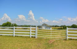 233 Courtnees WAY, Georgetown, TX 78626