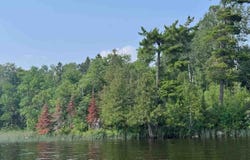 TBD Lake Vermilion N, Tower, MN 55790