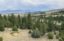 426 Friend Spring Road, Whitehall, MT 59759