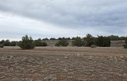 214b Juniper Woods, Ash Fork, AZ 86320