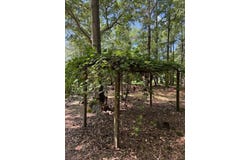 133 Rutledge Drive Drive, Eutawville, SC 29048