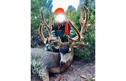 Highway 491, Pleasant View, CO 81331
