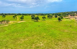 Tract 2 three Quarter Loop, Poolville, TX 76487