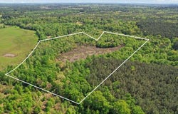Tbd County Road 1143, Daingerfield, TX 75638