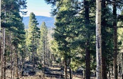 Lot 1142a Panorama Way, Angel Fire, NM 87710
