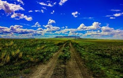 Muddy Creek Ranch, Cascade, MT 59421