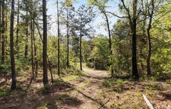 FM 852, Winnsboro, TX 75494