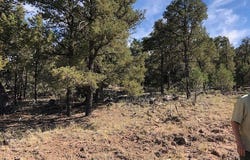 0.24 Acre Portion of Lot 70, Tres Piedras, NM 87577