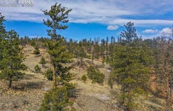 397 Chateau West Drive, Florissant, CO 80816
