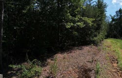 0 Flagpole, Ellijay, GA 30540