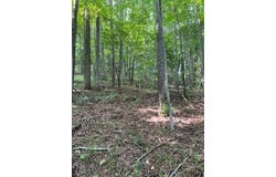 Tbd N. Angle Ave, Lebanon, VA 24266
