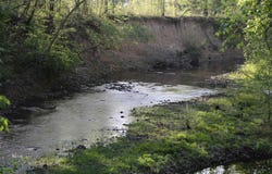 Sunshine Ln, Pangburn, AR 72067