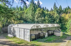 19330 NW CURTIS CREEK DR, Manning, OR 97125