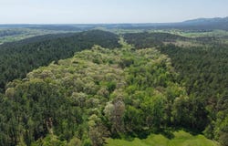 TBD OBar Lane, Langley, AR 71952