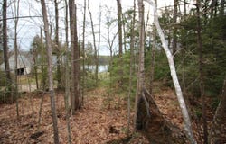 Lot 19-17 Northeast Pond Road, Milton, NH 03851