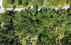 548 NE 543rd St, Old Town, FL 32680