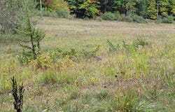 Lot A N Crossover Drive, Bellaire, MI 49615