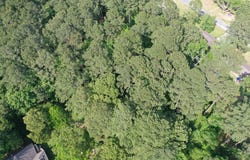 0 Heritage Trail, Laurel, MS 39443