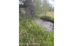 1121 RAINBOW Loop, Driggs, ID 83422