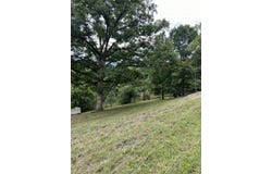 000 Vin Villa, Forsyth, MO 65653