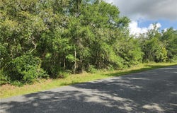 1031 E La Salle Street, Hernando, FL 34442